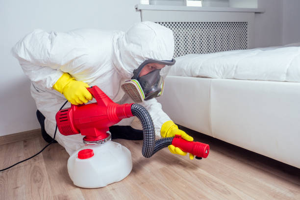 Best Local Pest Control Services  in South Uniontown, PA