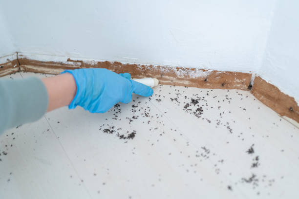 Best Cockroach Control Services  in South Uniontown, PA